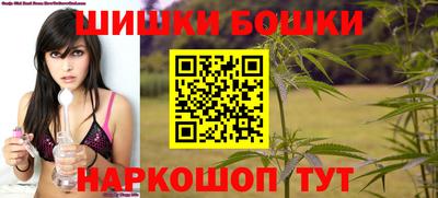дурь Шелехов