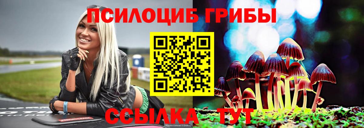 Галлюциногенные грибы Psilocybine cubensis Аргун
