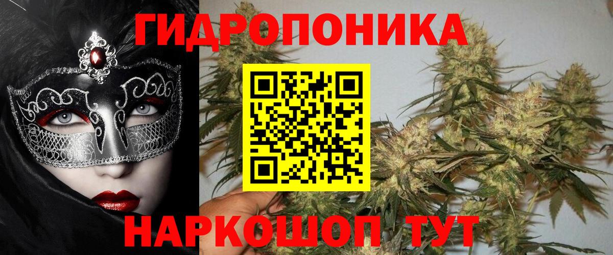 Бошки Шишки гибрид Аргун